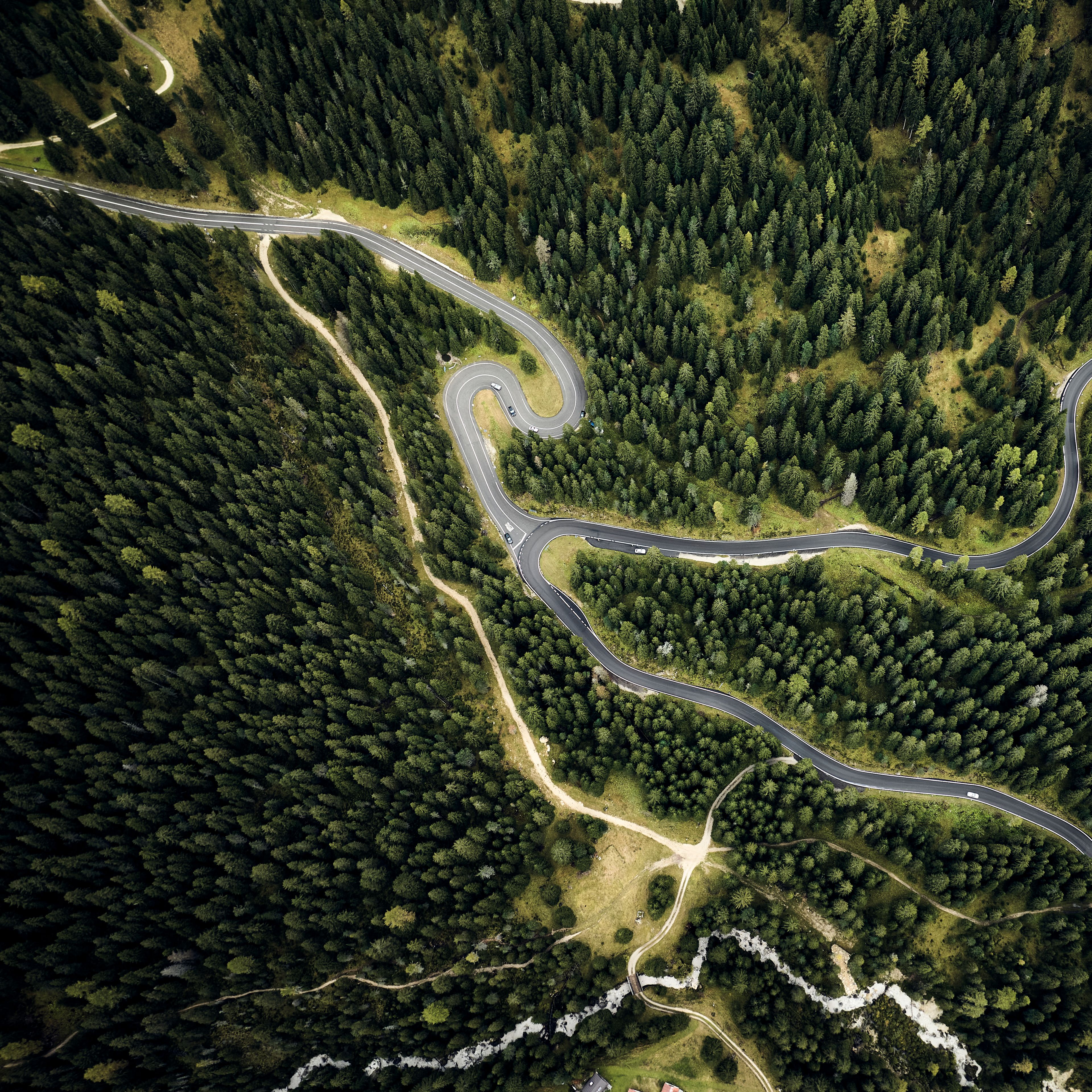 криволичещи пътища през гора от птичи поглед