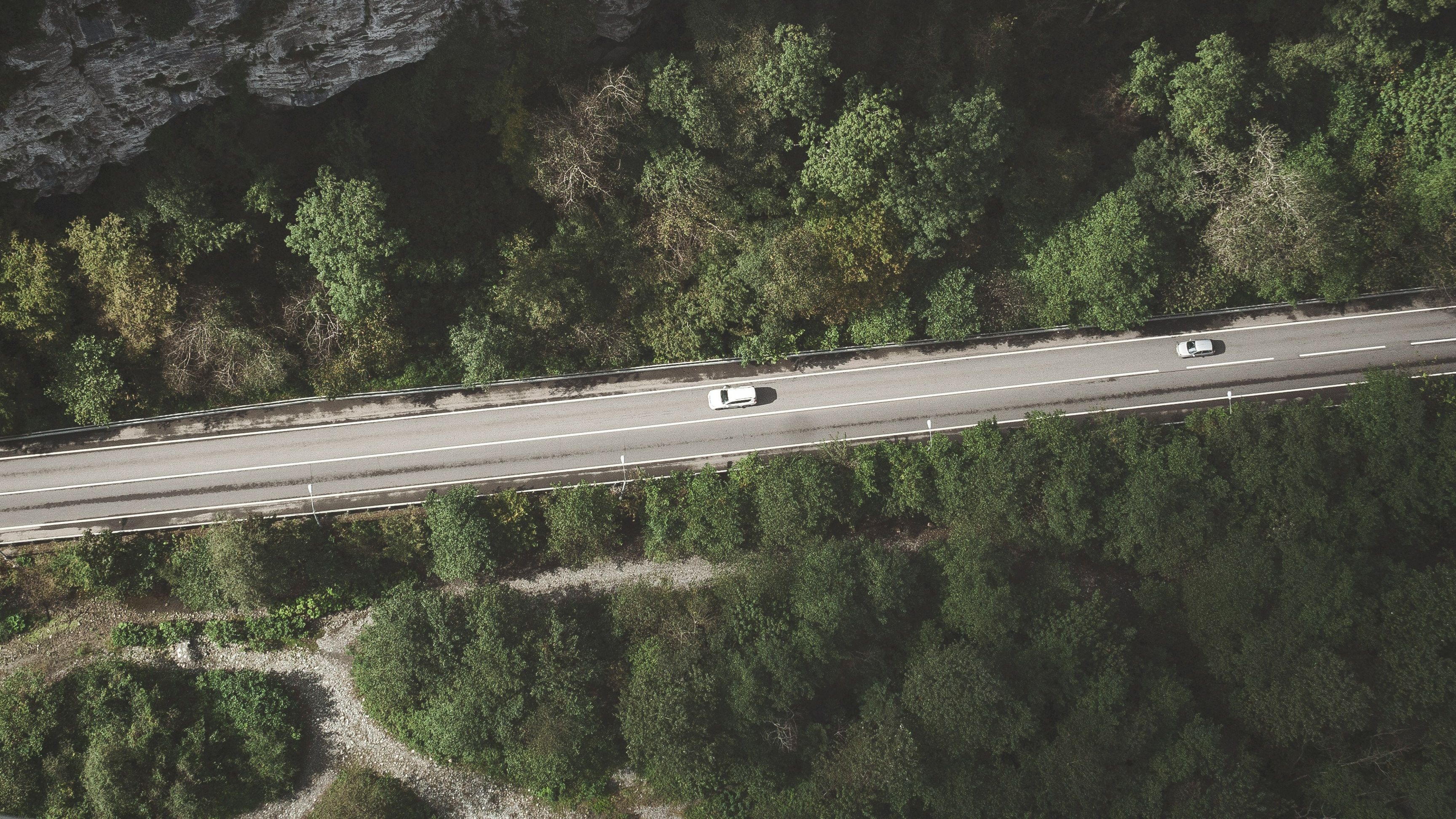 Коли по път през гората 